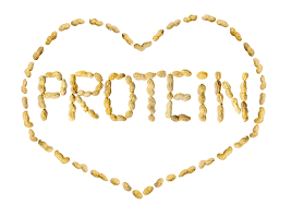 Winter Warmers – Protein